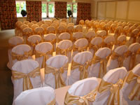 Ivory Chair Covers